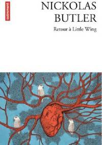 Retour à Little Wing - Nickolas Butler
