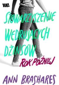 Rok później - Ann Brashares