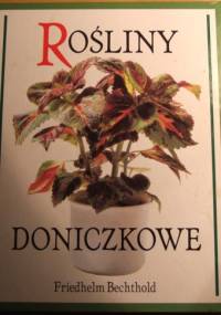 Rośliny doniczkowe - Friedhelm Bechthold