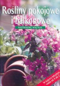 Rośliny pokojowe i balkonowe. Nastrojowe wnętrze - praca zbiorowa