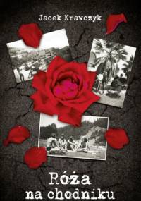 Róża na chodniku - Jacek Krawczyk