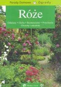 Róże - Elżbieta Traczewska-Zych