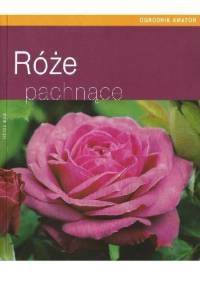 Róże pachnące - Heide Rau