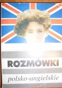 Rozmówki polsko-angielskie - Piotr Wrzosek, Maciej Tichy