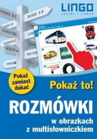 Rozmówki w obrazkach z multisłowniczkiem. Pokaż to! - praca zbiorowa