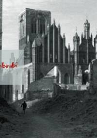 Ruiny. Fotografie Wiesława Gruszkowskiego - Wiesław Gruszkowski