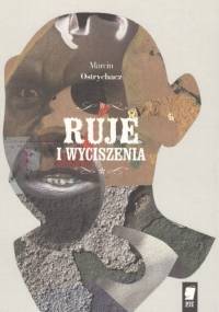 Ruje i wyciszenia - Marcin Ostrychacz