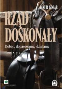 Rząd doskonały. Dobór, dopasowanie, działanie - Jakub Gołąb