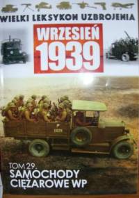 Samochody ciężarowe WP - Adam Jońca