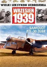 Samolot PZL.30 Żubr - Wojciech Mazur