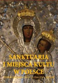 Sanktuaria i miejsca kultu w Polsce - Joanna Werner