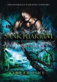 Sanktuarium 2 Rozłąka - Fine Sarah