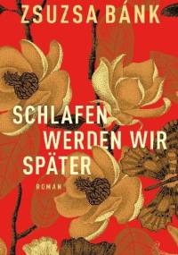 Schlafen werden wir später - Zsuzsa Bánk