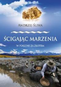 Ścigając marzenia. W pogoni za złotem - Andrzej Śliwa