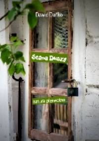 Seans Duszy - Dawid Dańko