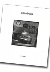 Sedymentacja - Ireneusz Zjeżdżałka