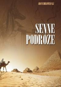 Senne podróże - Adam Borowiecki