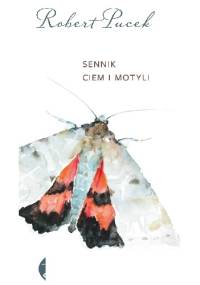 Sennik ciem i motyli - Robert Pucek
