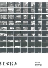 Setka. Sklepy alkoholowe - Maciej Rawluk