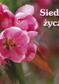 Siedem życzeń. Perełka 26 - praca zbiorowa