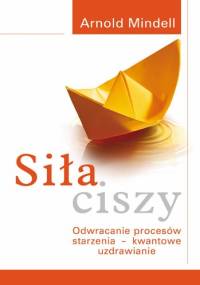 Siła ciszy : metody całodobowego świadomego śnienia - Arnold Mindell
