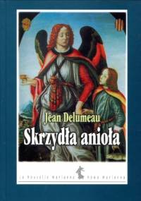 Skrzydła anioła - Jean Delumeau