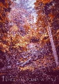 Skrzynia pełna wiatru - Anna Pituch-Noworolska