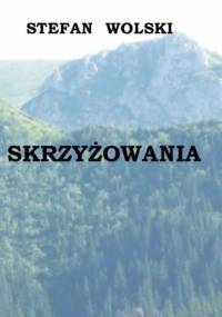Skrzyżowania - Stefan Wolski