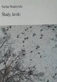 Ślady, kroki - Stefan Wadzyński