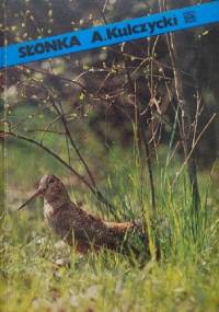 Słonka - Antoni Kulczycki