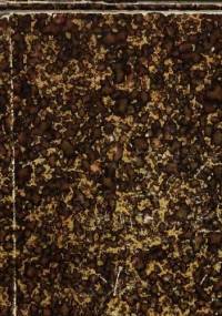 Slovinzische Texte - Friedrich Lorentz