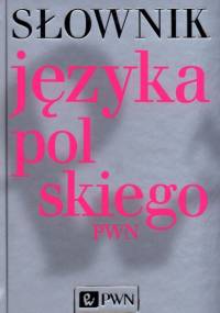 Słownik języka polskiego PWN + CD - praca zbiorowa