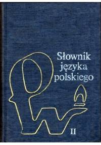 Słownik Języka polskiego. Tom 2 - praca zbiorowa