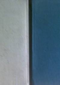 Słownik podręczny niemiecko-polski, polsko-niemiecki - Paweł Kalina