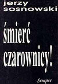 Śmierć czarownicy! Szkice o literaturze i wątpieniu - Jerzy Sosnowski