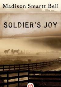 Soldier's Joy - Madison Smartt Bell