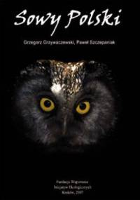 Sowy Polski - Grzegorz Grzywaczewski, Paweł Szczepaniak