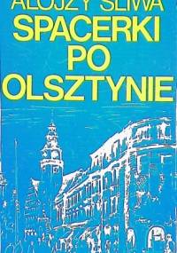 Spacerki po Olsztynie - Alojzy Śliwa