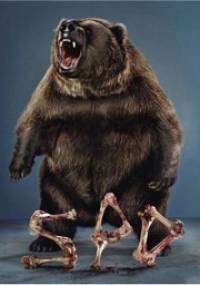 Spd - praca zbiorowa