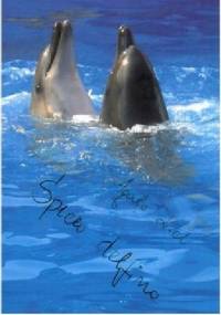 Śpiew delfina - Agata Linek