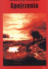 Spojrzenia. Wierzse dawne i nowe - Andrzej Szmidt
