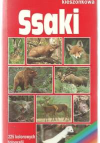 Ssaki. Encyklopedia kieszonkowa - praca zbiorowa