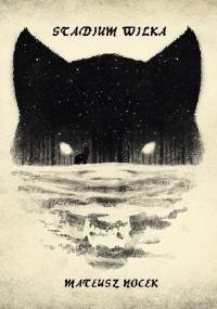 Stadium Wilka - Mateusz Nocek