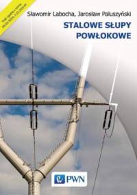 Stalowe słupy powłokowe - Sławomir Labocha, Jarosław Paluszyński