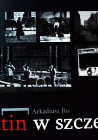 Stettin w szczególe - Arkadiusz Bis