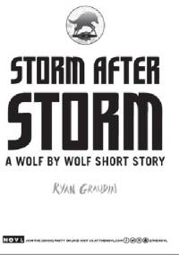 Storm After Storm - Ryan Graudin