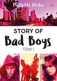 Story of Bad Boys - Mathilde Aloha