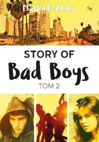 Story of Bad Boys t. 2 - Mathilde Aloha