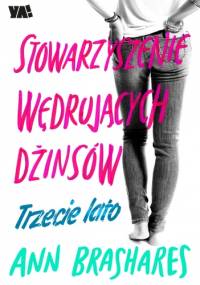 Stowarzyszenie Wędrujących Dżinsów. Trzecie lato - Ann Brashares