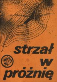 Strzał w próżnię - Rafał Brzeski